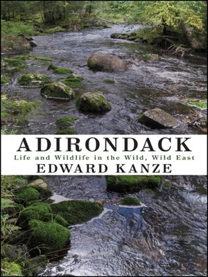cover image of Adirondack